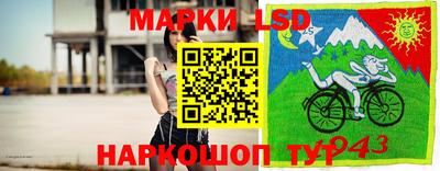 Альфа ПВП Нальчик