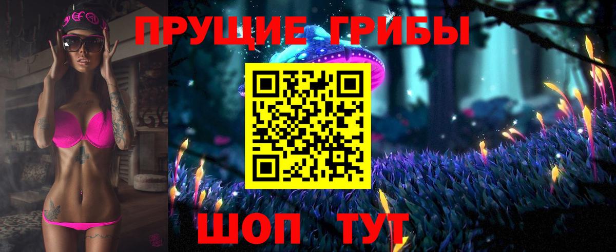 Галлюциногенные грибы Psilocybe Чайковский