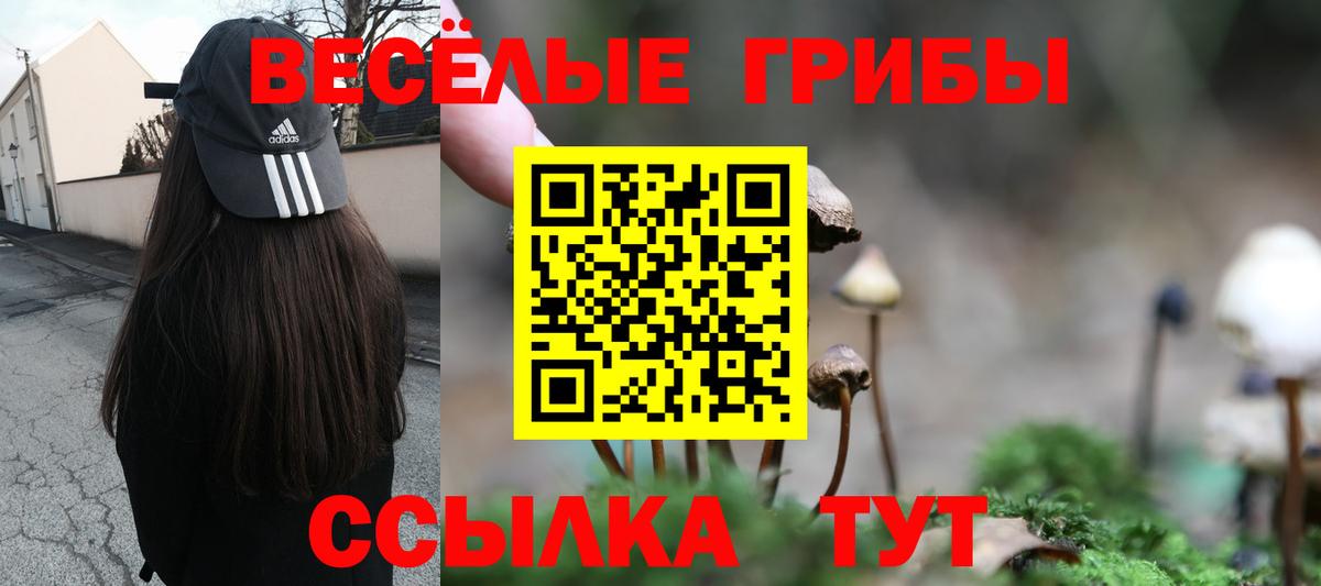 Галлюциногенные грибы MAGIC MUSHROOMS  Вход с VPN  Чайковский 